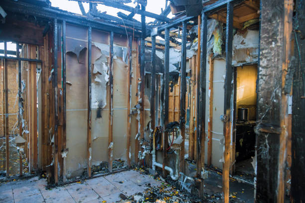 Professional Fire Damage Repair technician working in Ferndale, MD