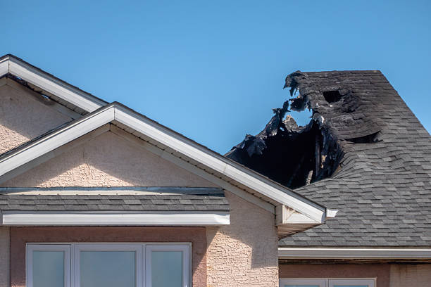 Top rated local Fire Damage Repair specialists in Ferndale, MD